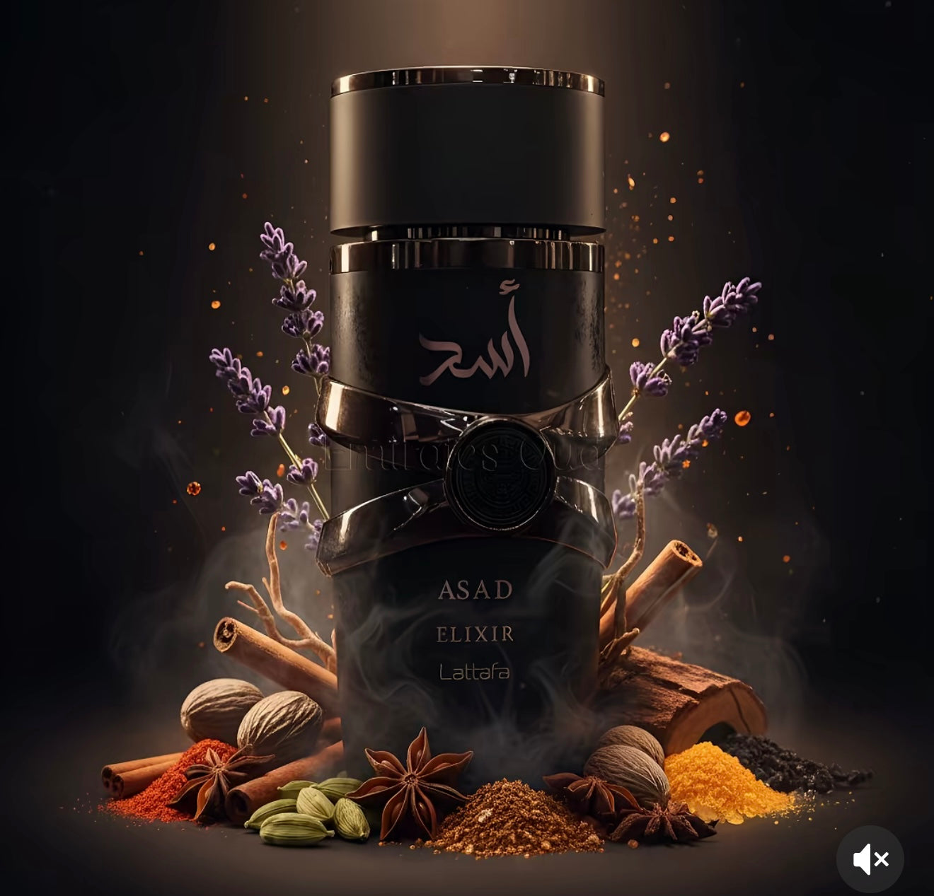 Assad Elixir Eau de Parfum 100 ml